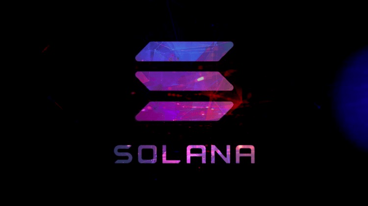 Solana Blockchain Developer Foundation