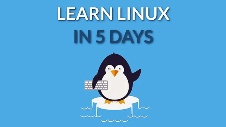 Learn Linux in 5 Days and Level Up Your Career