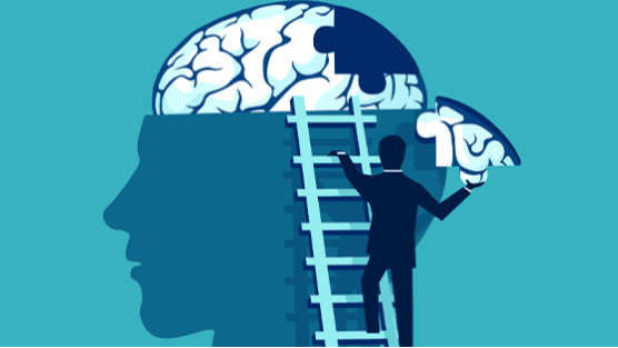 Memory Improvement + Brain Training