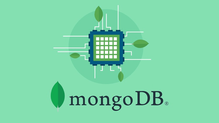 MongoDB - The Definitive Guide for Developers