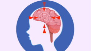 Child Development with Whole-Brain Approach